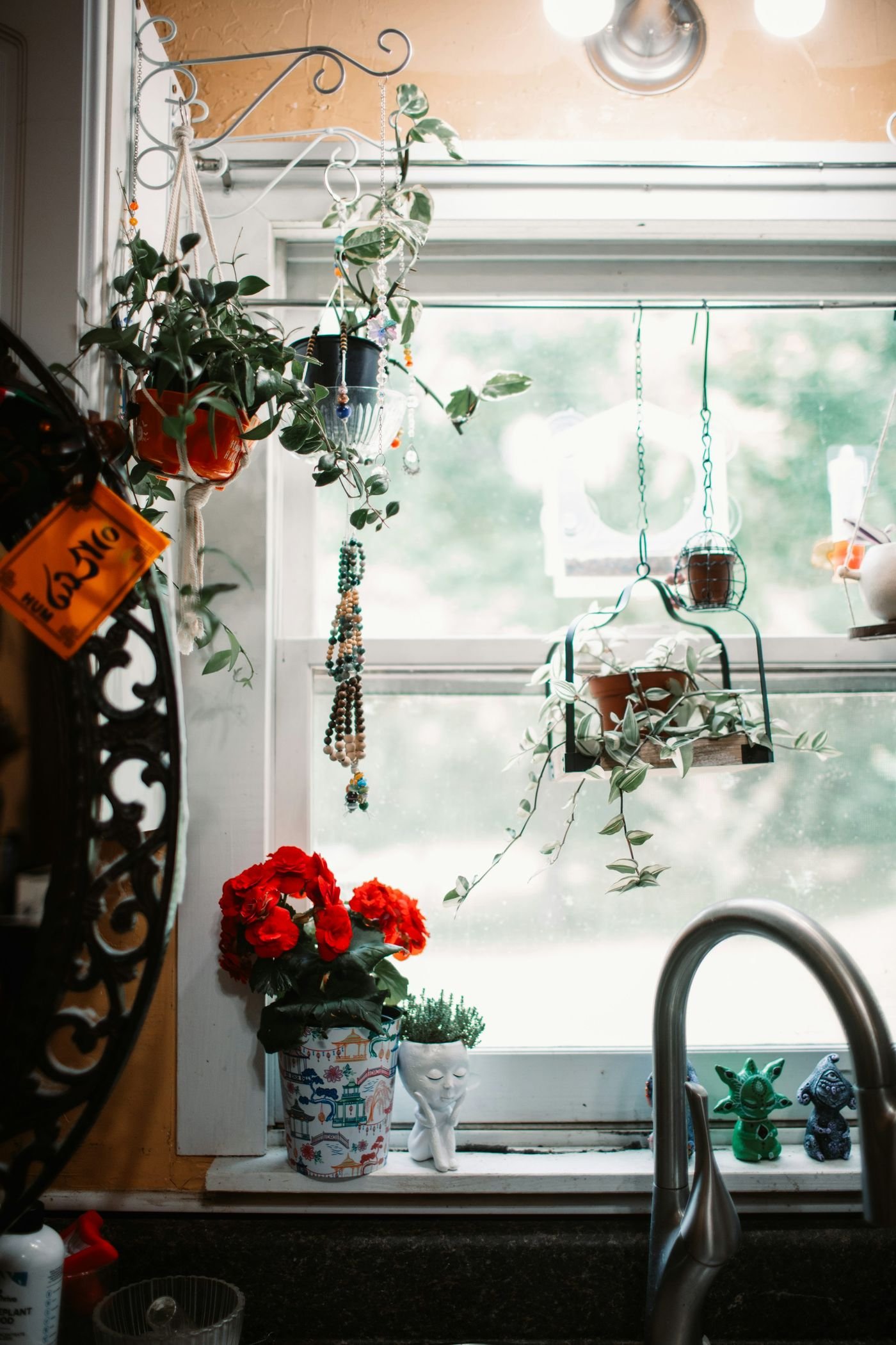 Windowsill herbs and small plants in a kitchen